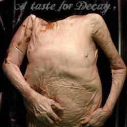 While They Dreamt, We Wrapped their Corpses in Black